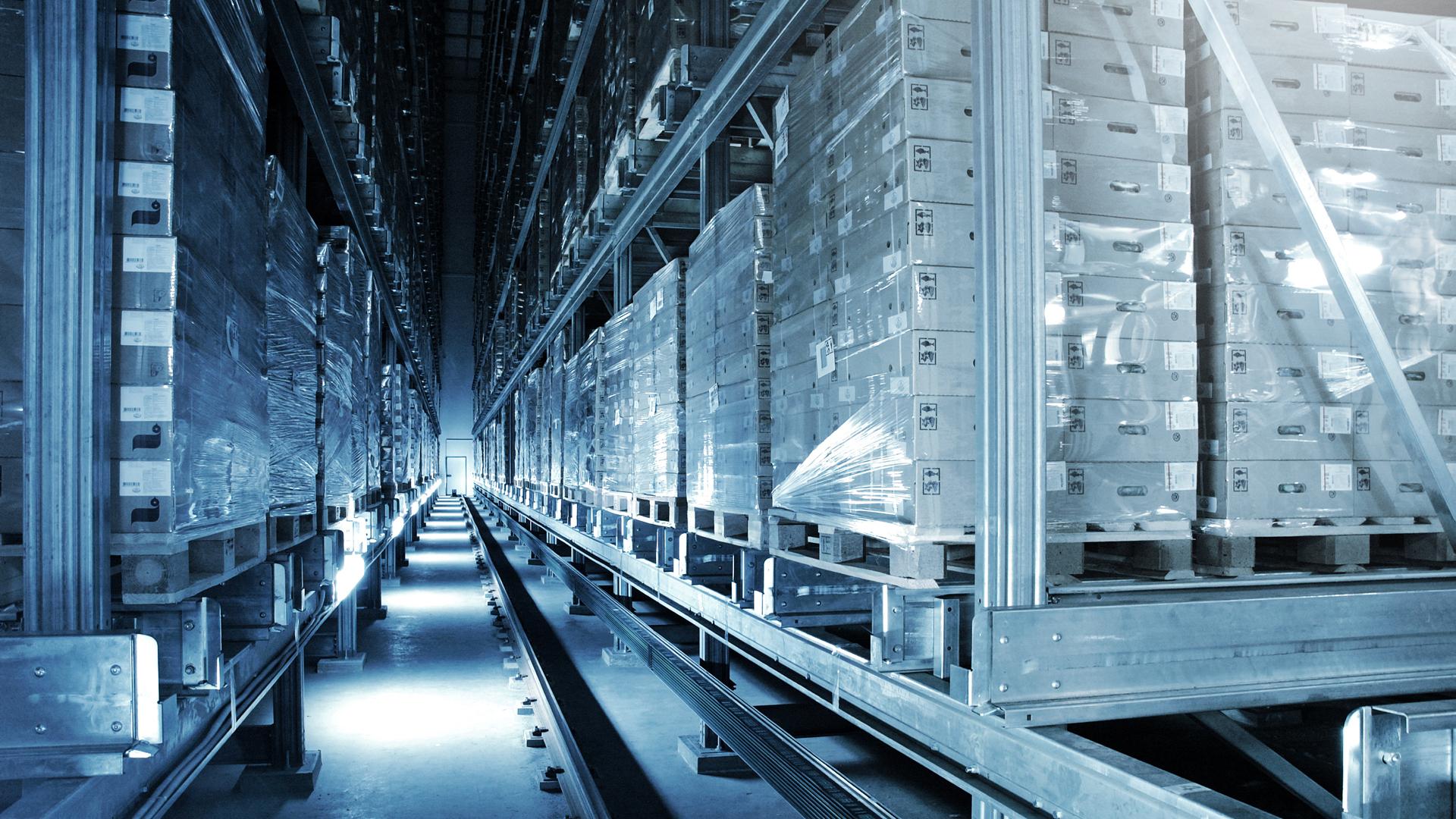 Temperature-controlled cold storage warehouse with palletized products